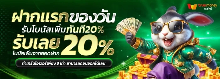 POIPET123 สล็อต บาคาร่า คาสิโน เว็บตรง ฝากถอนออโต้